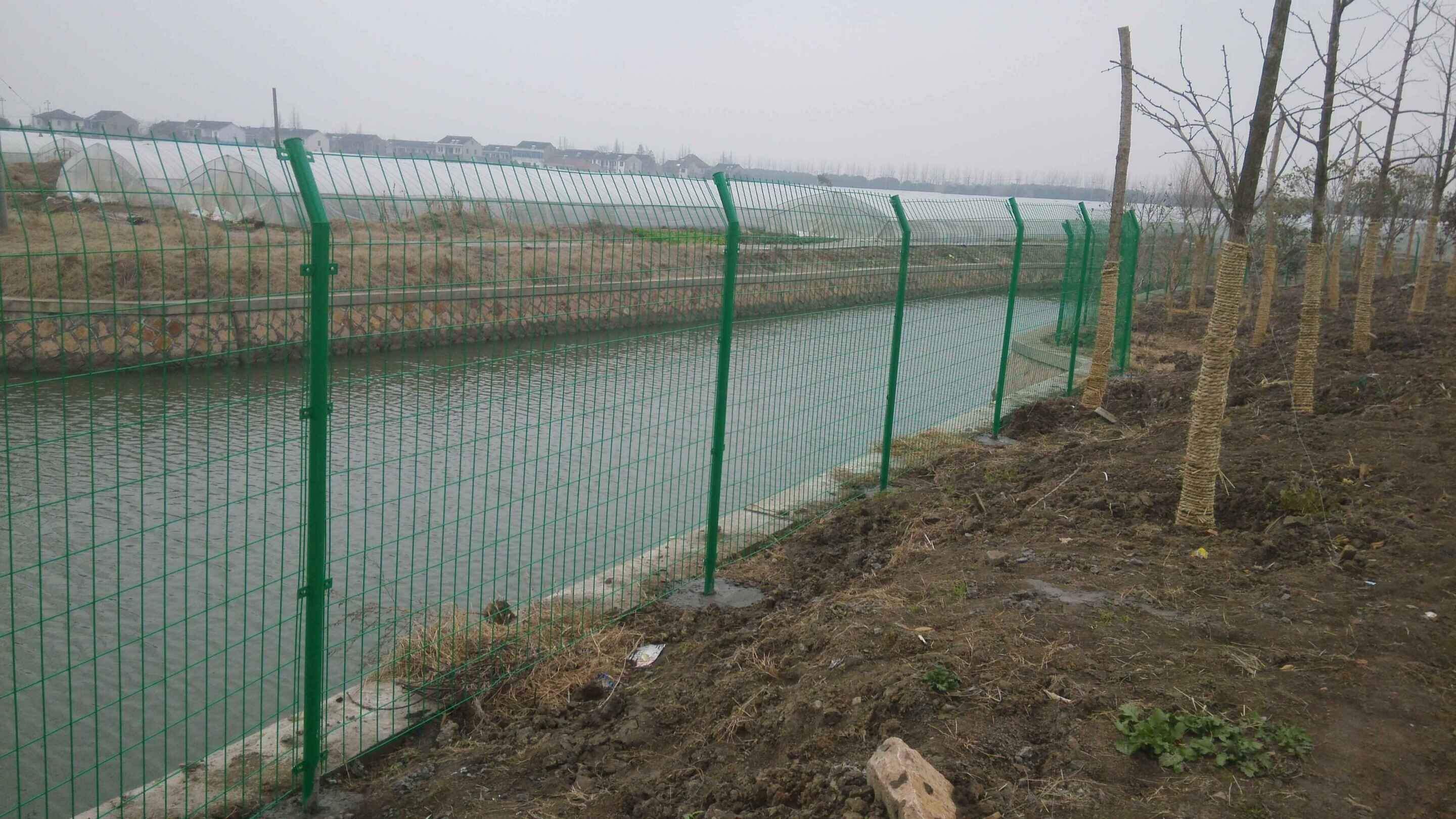 水源地綠色圍網圖片1